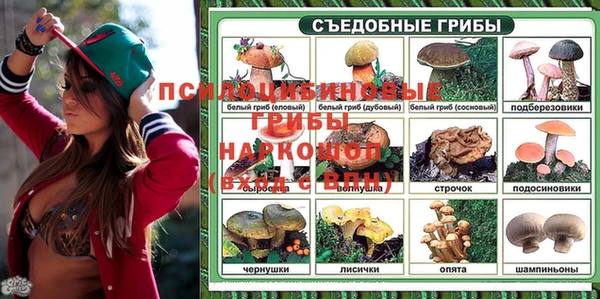 ECSTASY Тихвин