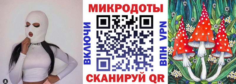 ссылка на мегу   Холм  Галлюциногенные грибы Psilocybine cubensis 